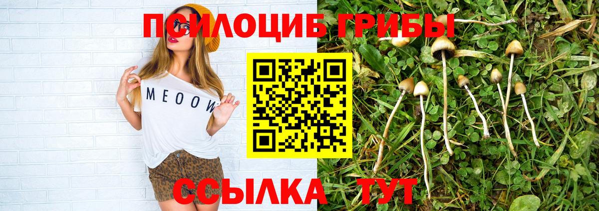 Галлюциногенные грибы Psilocybine cubensis Дальнереченск